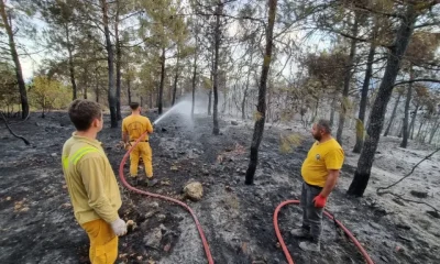 AMASYA’NIN ORMAN YANGINI BİLANÇOSU: 15 HEKTAR ALAN YANDI!