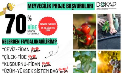 MEYVECİLİK PROJE BAŞVURULARI 12-29 AĞUSTOS TARİHLERİ ARASINDA ALINACAK