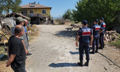 SULUOVA’DA KAMYONETE BAĞLANIP GÖTÜRÜLEN KÖPEK KORUMAYA ALINDI