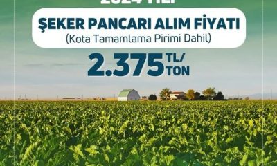 2024 YILI ŞEKER PANCARI ALIM FİYATI TON BAŞINA 2.375 TL