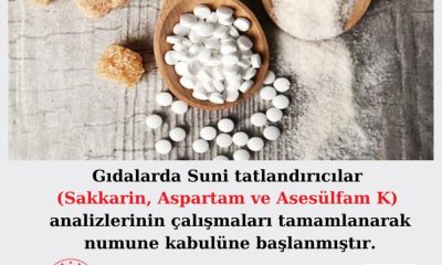 SUNİ TATLANDIRICI ANALİZLERİ TAMAMLANDI, NUMUNE KABULÜNE BAŞLANDI