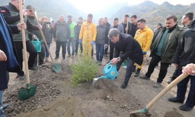 AMASYA’DA BİN ADET FİDAN TOPRAKLA BULUŞTU