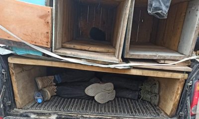 ARI KOVANLARINDAN 4 KAÇAK GÖÇMEN ÇIKTI!