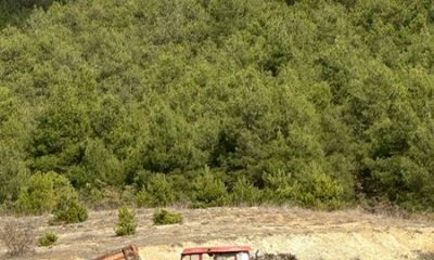 JANDARMA’DAN ÇEVREYİ KİRLETENLERE SUÇÜSTÜ