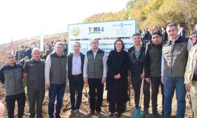 ORMANLARIMIZ YILLIK 44 MİLYON TON OKSİJEN ÜRETİYOR