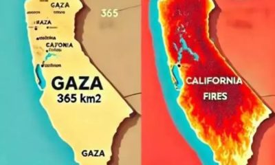 6 GÜNDÜR YANAN CALİFORNİA’NIN SON HALİ GAZZE’Yİ HATIRLATTI