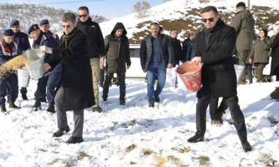 VALİ ÖNDER BAKAN, SULUOVA AKDAĞ BÖLGESİNDE YABAN HAYATI İÇİN YEM BIRAKTI