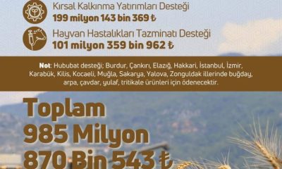 TARIMSAL DESTEKLEME ÖDEMESİ ÇİFTÇİLERİN HESAPLARINDA