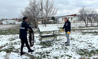 BELEDİYEMİZDEN SOKAK HAYVANLARINA YEM DESTEĞİ