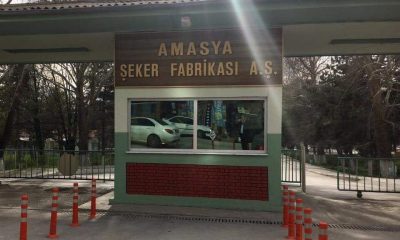 ŞEKER NİZAMİYESİ !