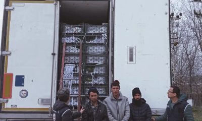 AMASYA’DA KARPUZLARIN ARASINDA GÖÇMEN YAKALANDI