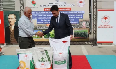 AMASYA TARIMINDA MART RAPORU