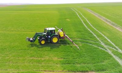 AMASYA’DA YABANİ OT MÜCADELESİ BAŞLADI
