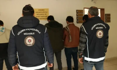 KOYUN YÜKLÜ TIRDA 5 KAÇAK GÖÇMEN YAKALANDI