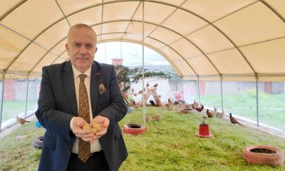 REKTÖR TURABİ, SULUOVA MYO’DA KURULAN SÜLÜN ÇİFTLİĞİNİ İNCELEDİ