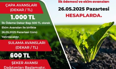 ŞEKER FABRİKASI, PANCAR ÜRETİCİSİNE ÇAPA VE EKİM AVANS ÖDEMESİNE PAZARTESİ BAŞLIYOR