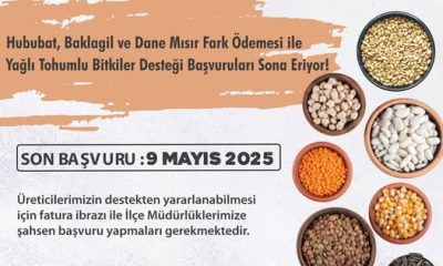 ÜRETİCİLERİN DİKKATİNE !