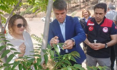 AMASYA’DA SAMURAY ARISI SALIMI GERÇEKLEŞTİRİLDİ