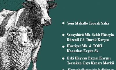 KURBAN ATIKLARINI BU NOKTALARA BIRAKIN.