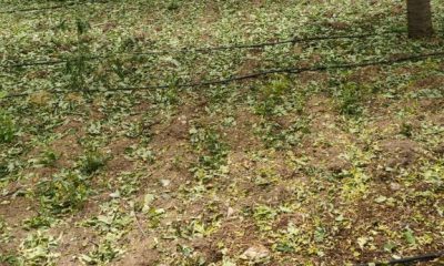 SULUOVA BOYALI KÖYÜNÜ DOLU VURDU