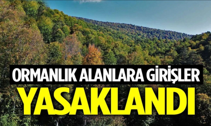 AMASYA’DA ORMANLARA GİRİŞ YASAKLANDI