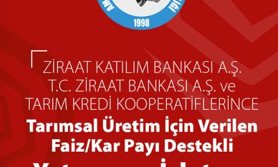 KÖYÜMDE YAŞAMAK İÇİN BİR SÜRÜ NEDENİM VAR–BÜYÜKBAŞ PROJESİ