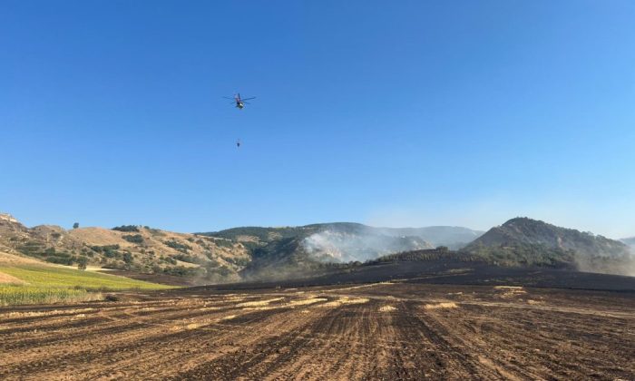 MERZİFON’DA EKİN VE ORMAN YANGININA HELİKOPTER MÜDAHALE ETTİ.