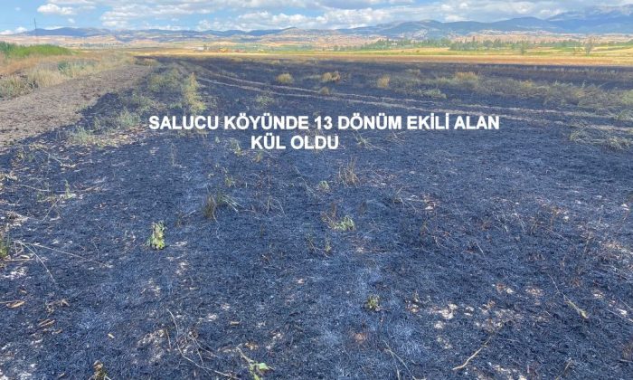 SALUCU KÖYÜNDE 13 DÖNÜM EKİLİ ALAN KÜL OLDU
