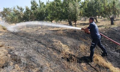 SULUOVA’DA ARAZİ YANGINI