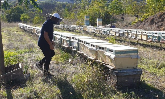 ARILI KOVAN DESTEKLEME ÇALIŞMALARI HAKKINDA DUYURU