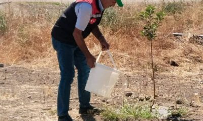 AMASYA’NIN MİSKET ELMASI İÇİN SULUOVA’DA ‘GEN BAHÇESİ’ ÇALIŞMALARI SÜRÜYOR