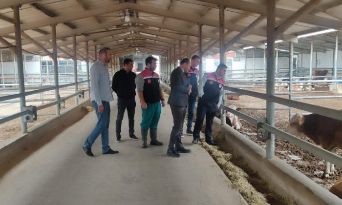 İL MÜDÜRÜ ARSLAN, SULUOVA TDİ BESİ OSB’DE İNCELEMELERDE BULUNDU