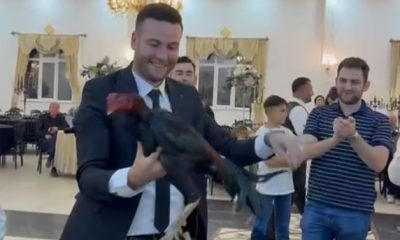 SULUOVA’DA DAMADA 250 BİN TL’LİK HİNT HOROZU TAKILDI!