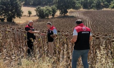 SULUOVA’NIN TARLALARINDA KURAKLIK TESPİT ÇALIŞMASI BAŞLADI