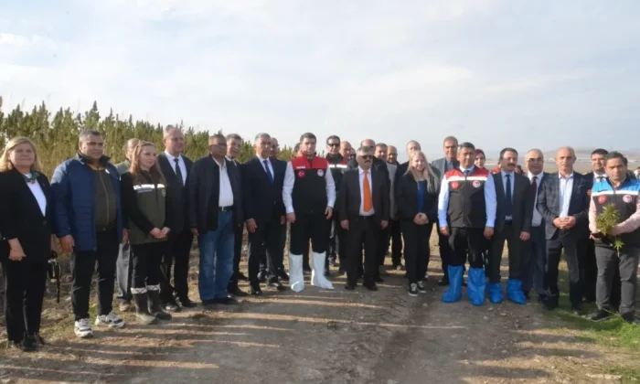 AMASYA’DA 852 DEKAR ALANDA KENEVİR HASADI BAŞLADI!