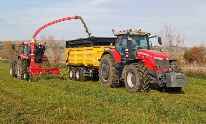 AMASYA DSYB, SULUOVA’DA SLAJ BİÇİMİ YAPTI