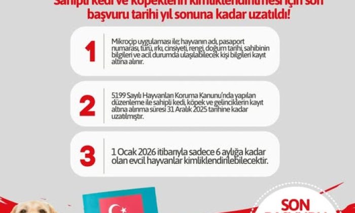 SAHİPLİ KEDİ VE KÖPEKLERİN KİMLİKLENDİRİLMESİ İÇİN SON TARİH: 31 ARALIK 2025.