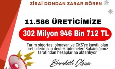 ZİRAİ DON MAĞDURU ÇİFTÇİLERE 303 MİLYON TL DESTEK ÖDEMESİ