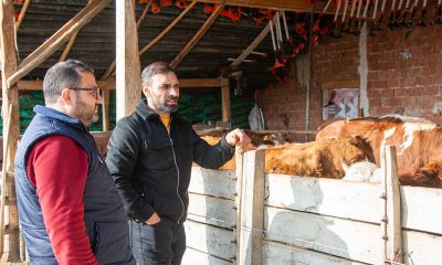 AMASYA DSYB, SULUOVA AKÖREN BESİ İŞLETMESİNDE İNCELEME YAPTI