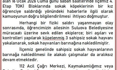 SULUOVA KAYMAKAMLIĞINDAN BASIN AÇIKLAMASI !