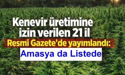 KENEVİR KARARI RESMİ GAZETE’DE YAYINLANDI. ARTIK 21 İLDE ÜRETİM YAPILABİLECEK