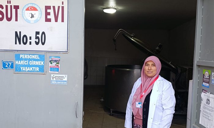 SULUOVA AKÖREN KÖYÜNDE 25 ÜRETİCİ SÜT ÜRETİYOR