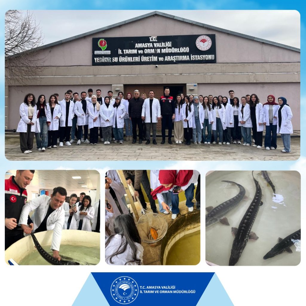 SULUOVA MYO, YEDİKIR SU ÜRÜNLERİ ÜRETİM İSTASYONUNA TEKNİK GEZİ DÜZENLEDİ