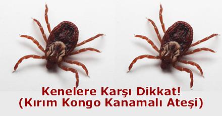 AMASYA’DA SAĞLIK EKİPLERİNDEN KENE UYARISI