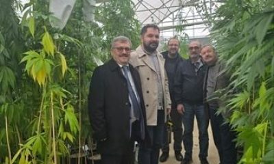 AMASYA KENEVİRİNİN KATMA DEĞERİ ARTACAK