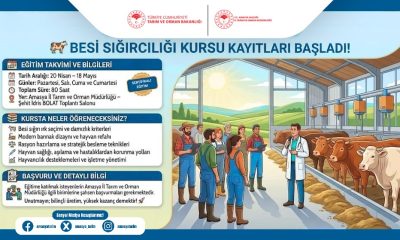 BESİ SIĞIRCILIĞI KURSU KAYITLARI BAŞLADI