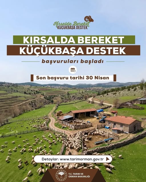 KIRSALDA BEREKET KÜÇÜKBAŞA DESTEK PROJESİ BAŞVURULARI BAŞLADI.
