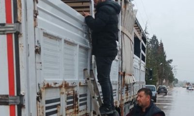 SULUOVA’DA HAYVAN SEVKLERİNE SIKI DENETİM !