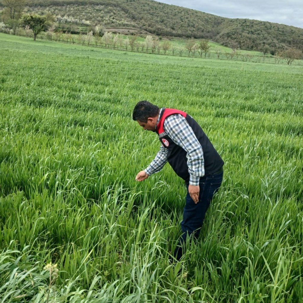 AMASYA’DAKİ DOLU YAĞIŞI ZARARSIZ ATLATILDI !